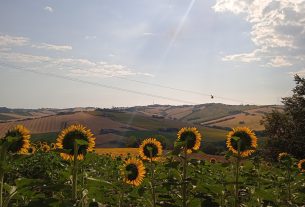 Offro terreno in vendita a Filetto di Senigallia