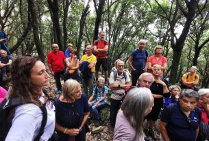 Un villaggio turistico al posto di un bosco? Il caso Vallestrieri