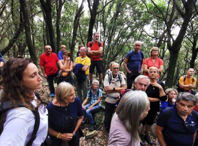 Un villaggio turistico al posto di un bosco? Il caso Vallestrieri