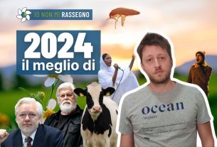 Anche il 2024 ha fatto cose buone! Le notizie più incredibili dell’anno trascorso – #1035