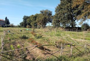 La scuola steineriana di Colle Val d’Elsa, dove crescere non è (solo) acquisire competenze