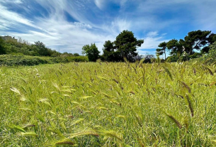 Quattro ettari, il piccolo angolo di biodiversità gestito da un avvocato che ama la natura