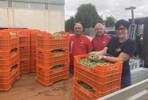 La storia dell’avvocata-imprenditrice agricola che fa economia solidale con beni confiscati alla mafia