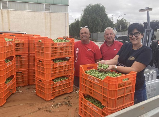 La storia dell’avvocata-imprenditrice agricola che fa economia solidale con beni confiscati alla mafia