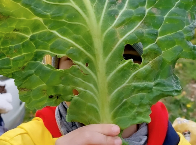 Krisalide, per crescere un bambino ci vuole un villaggio (nel bosco) 