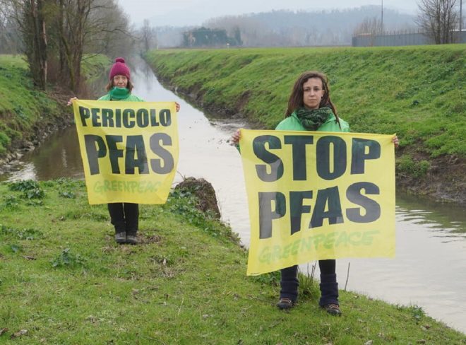 pfas greenpeace