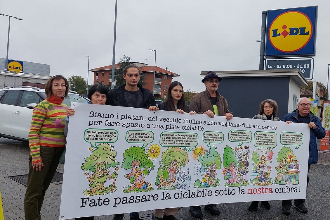 abbattimento dei platani asti3